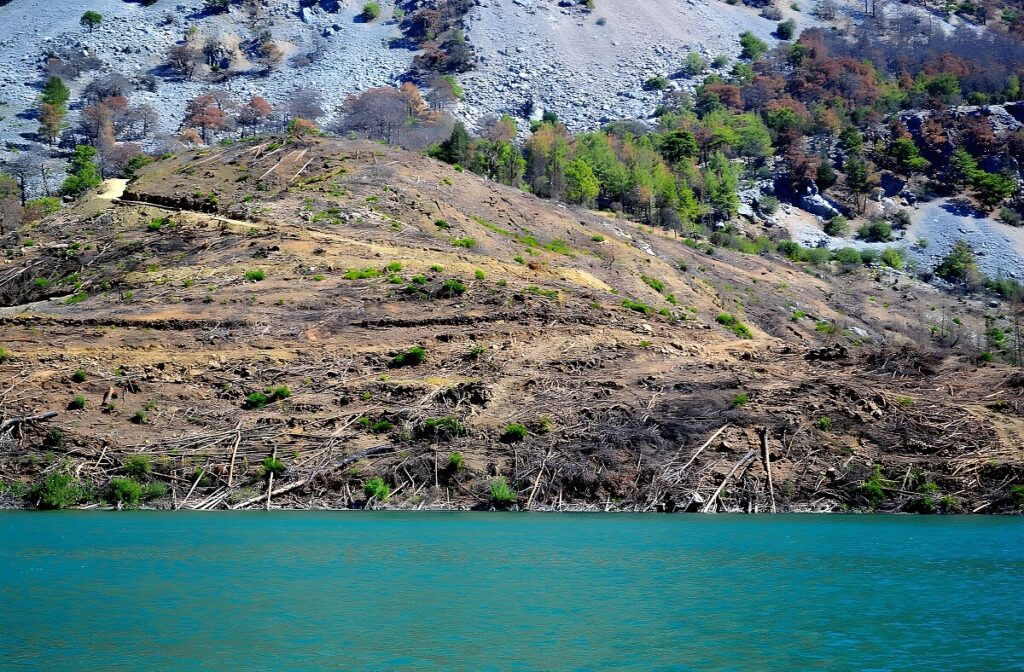 Część Kanionu Zielonego została zniszczona przez pożary lasu