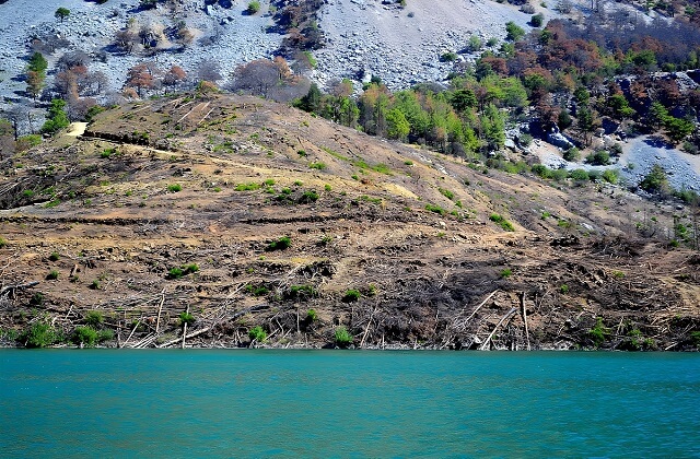 Część Kanionu Zielonego została zniszczona przez pożary lasu