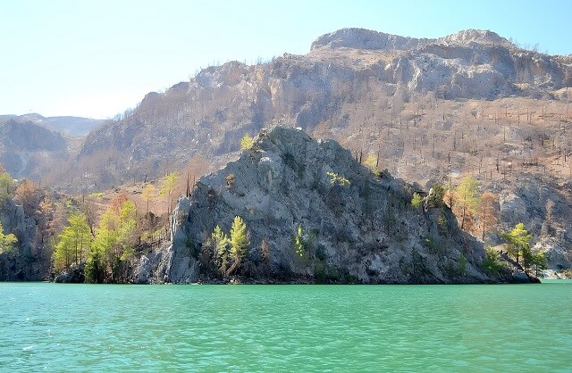 Część Kanionu Zielonego została zniszczona przez pożary lasu